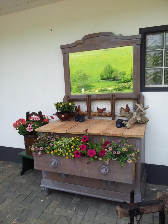 Landgasthof Nesselbach 诺迪瑙 外观 照片