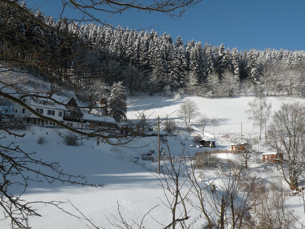 Landgasthof Nesselbach 诺迪瑙 外观 照片