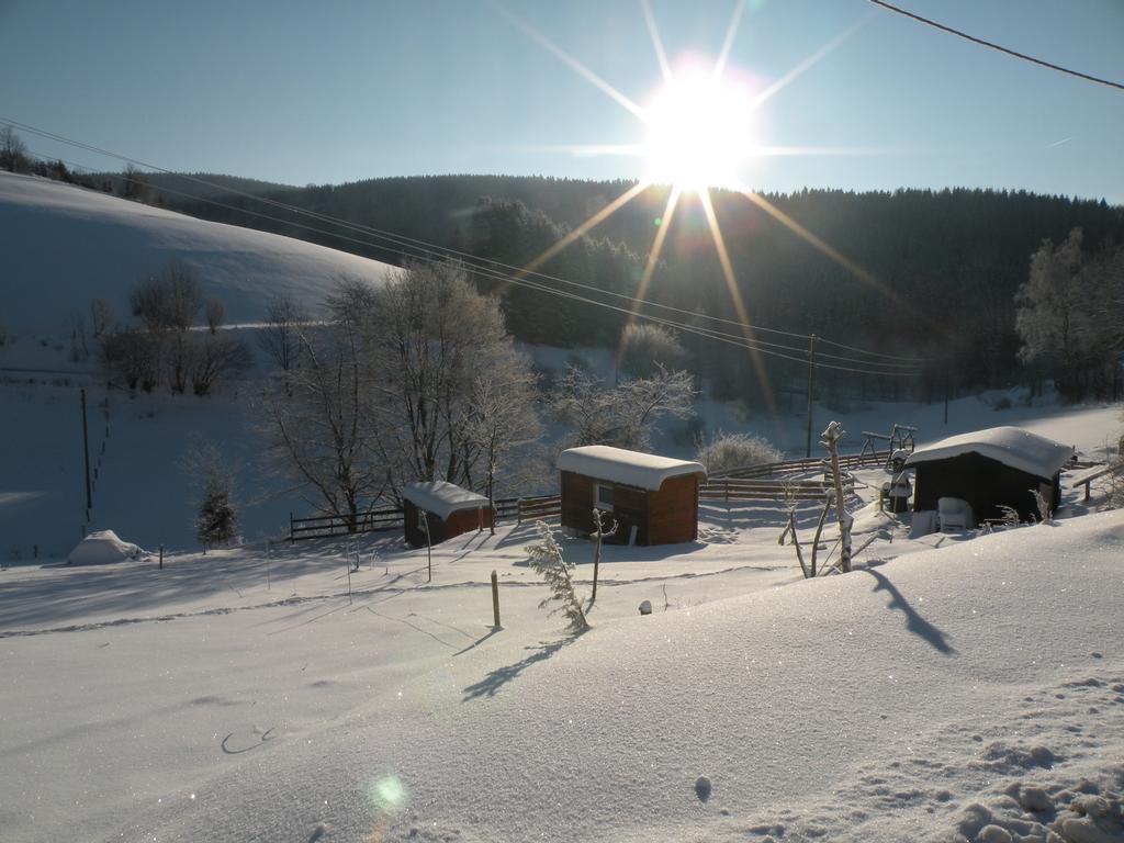 Landgasthof Nesselbach 诺迪瑙 外观 照片