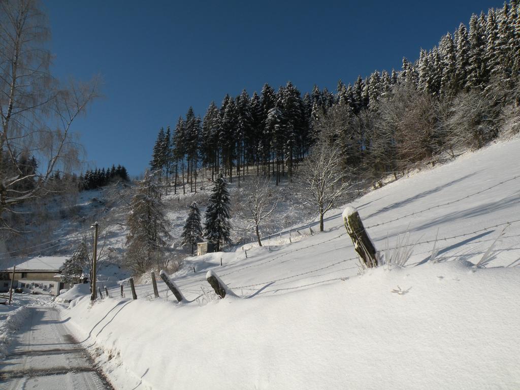 Landgasthof Nesselbach 诺迪瑙 外观 照片