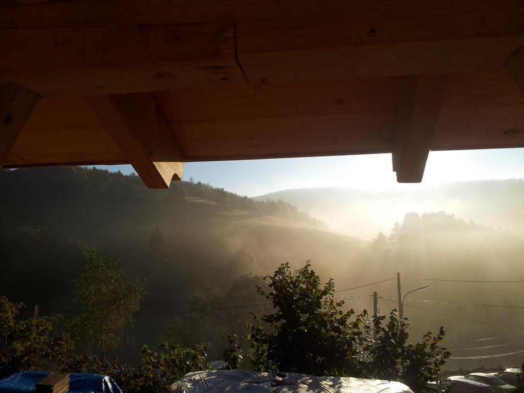 Landgasthof Nesselbach 诺迪瑙 外观 照片